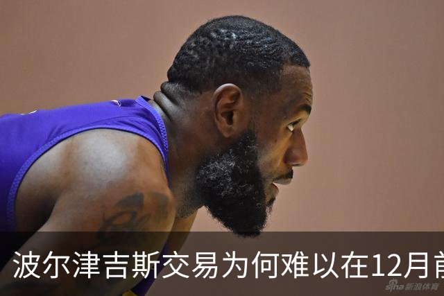 波尔津吉斯交易为何难以在12月前达成？分析两大关键因素